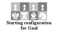 Text Box:  
Starting configuration for Gaul

