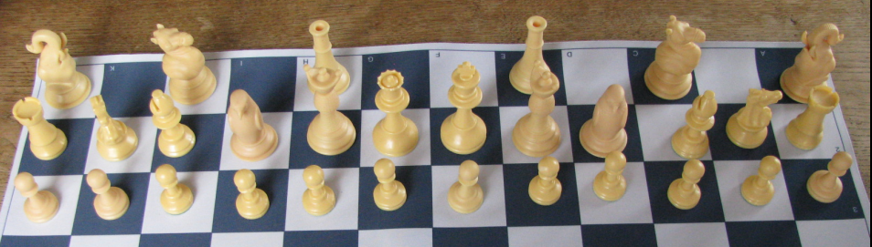 Wild timurid with musketeerchess pieces
